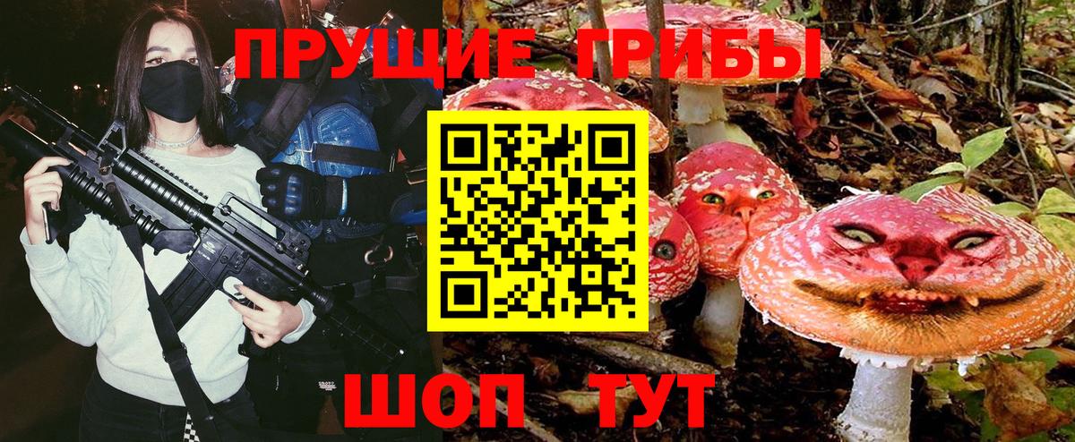 Псилоцибиновые грибы прущие грибы Донской